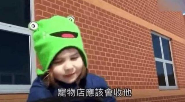 女儿|5岁女儿和爸爸商量卖掉弟弟,好奇询问女儿理由后,宝爸哭笑不得