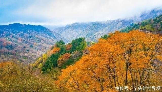 古村|自驾秦岭新发现，神秘古村藏陕南，车路不通，恍如世外桃源