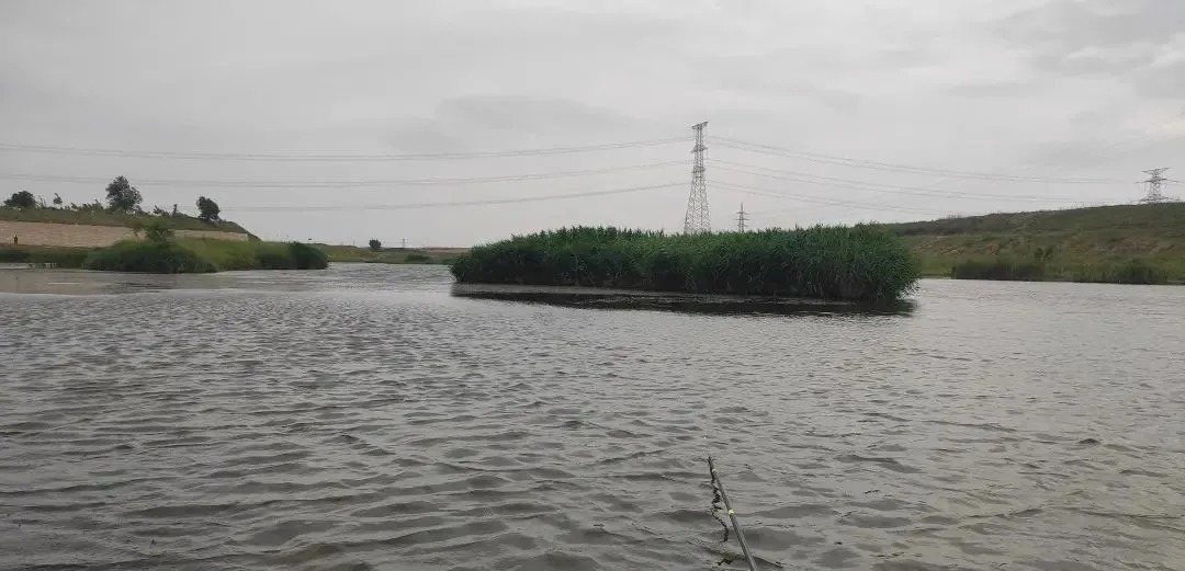 入冬后钓鲫鱼的黄金公式!在什么地方都能用,20年钓鱼人的经验