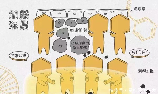 年后护肤指南，祝颜值在线一整年