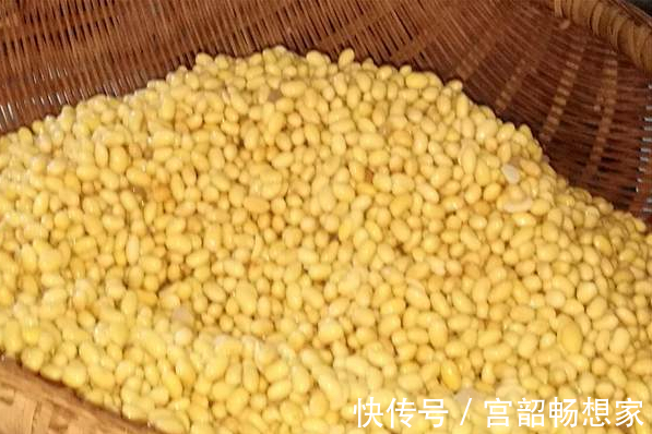黄豆|一把黄豆一杯醋,教你自制豆腐,做法简单无添加,比买的更放心