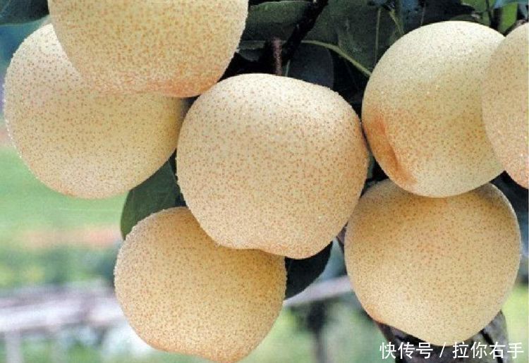 冬天养生,多吃3种食物,排毒清脂,润肠通便,好处多多