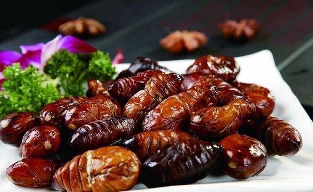 日本|日本人评出“最残忍”的4道中国美食,中国看了内心毫无波动