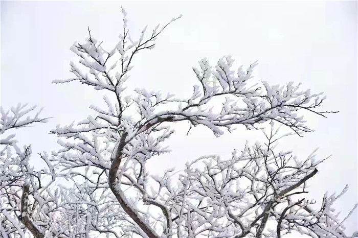 山区|象山又下雪了！山区雪景虽美路难行，非必要不上~