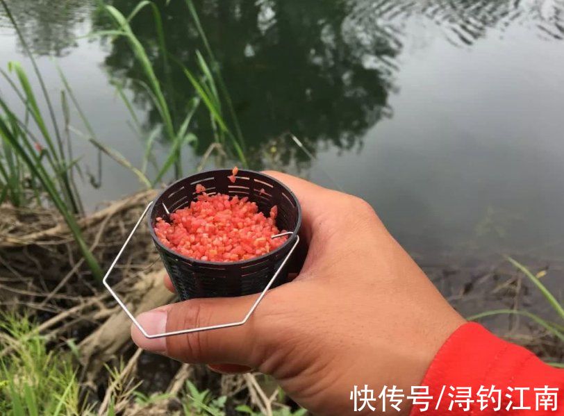 钓鱼|入秋后，要想钓获大板鲫，不搞清楚这4点，劝你莫往河边跑
