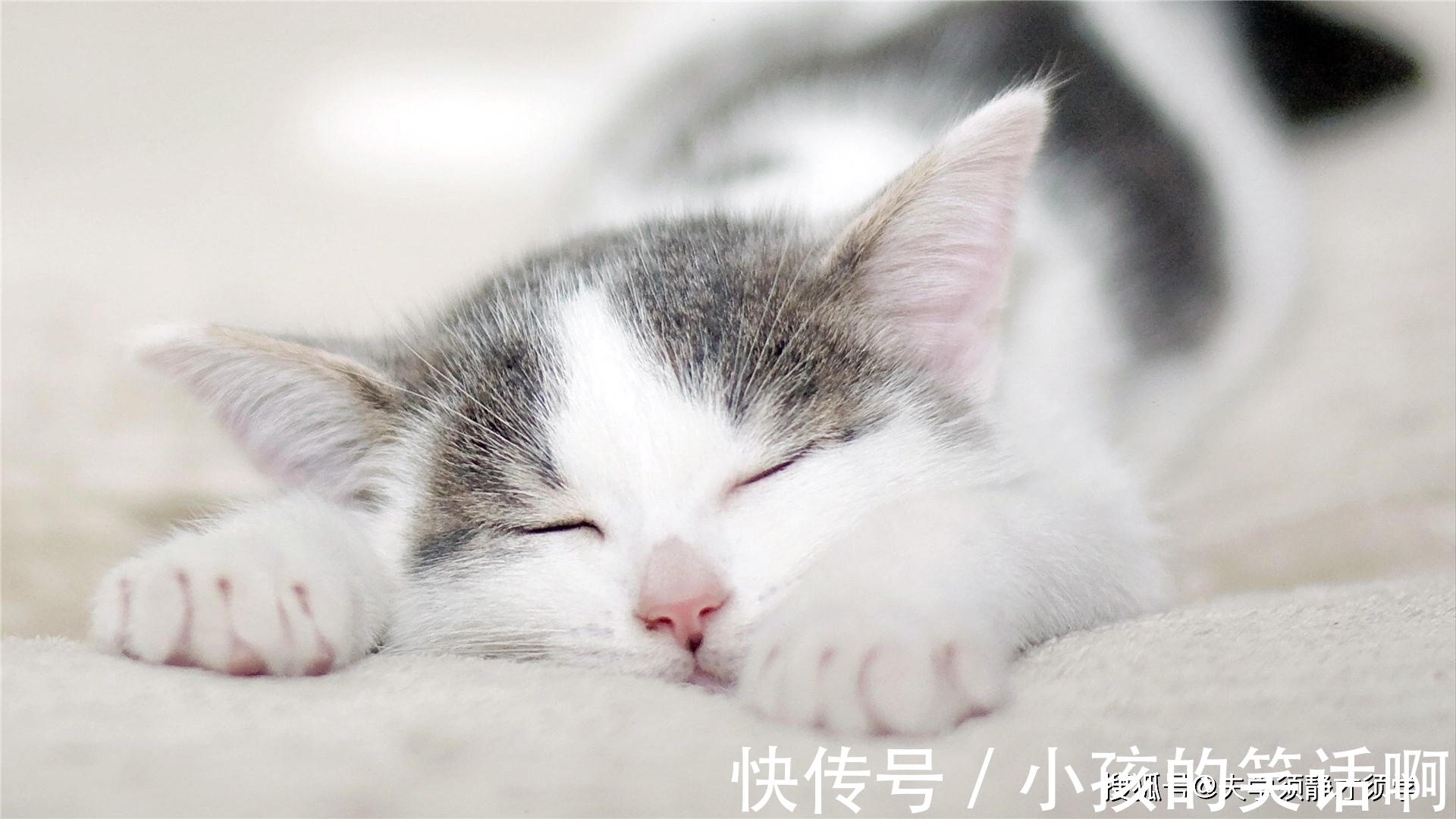 |内涵段子:一对情侣因小事闹别扭,男的回家后,立即写了一封信!