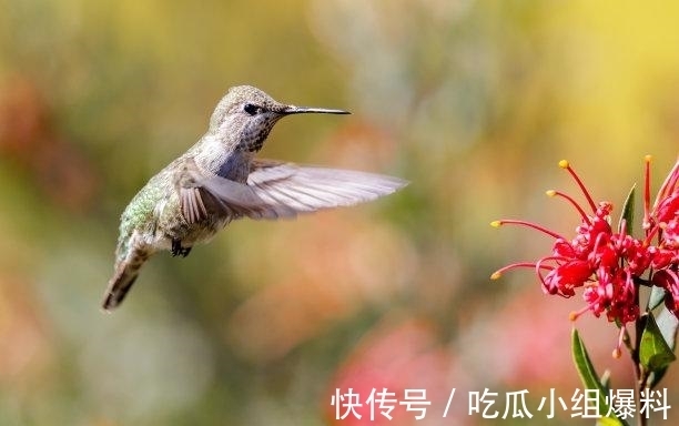 太岁|往后5天，旧情难舍，旧爱转身，心心念念，爱火重燃，生死相随