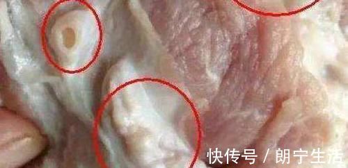 猪肺|买猪肉时，这2块部位不要买，特别是第一种，对身体危害很大
