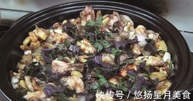 杏鲍菇|几道点击率高的酒楼菜!