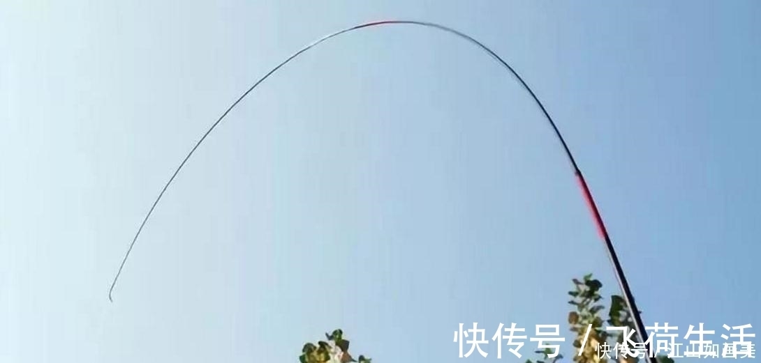 渔课堂|硬鱼竿和软鱼竿各有什么优势看完以下分析,发现我用错了很多年