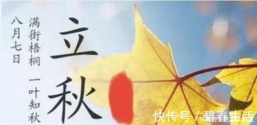 茄子|常听老人们说：“立秋后的茄子不要吃”开始不懂，看完以后明白了