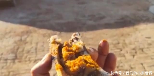 如今|原来没人稀罕,如今比羊排还火,碾压麻辣小龙虾,谁吃过