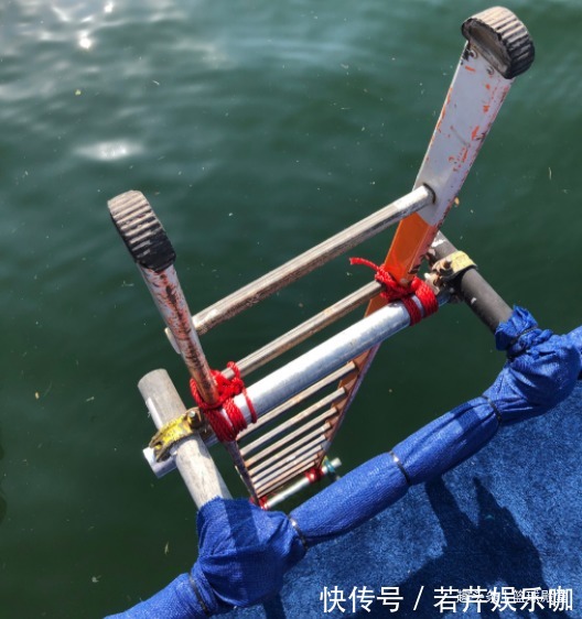 比耶|这是跳海!全红婵面对表演赛微笑比耶,比赛时间确定,网友很期待