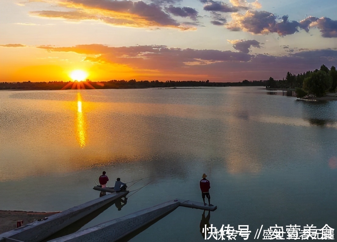 野钓鲤鱼,关键技巧是这四个,上鱼速度快又狠——盛世三渔