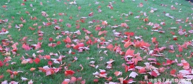 世界文明史吐蕃王朝的衰亡!