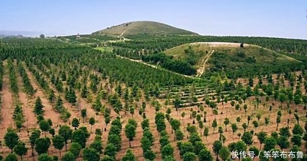 张嫣|当了三十年皇后,临终还是个处女,有个儿子却非常有名