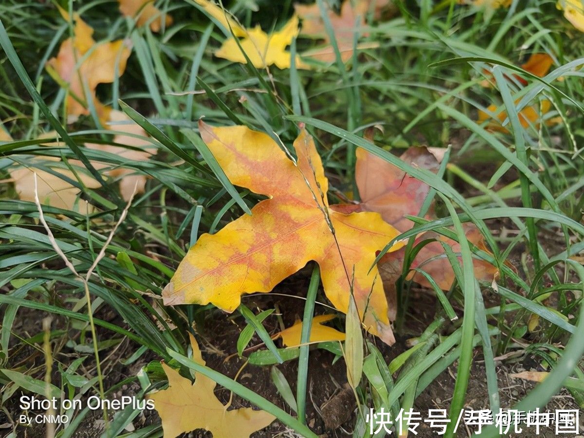 夜景|一加 9RT拍照体验：拥有旗舰级拍照表现的性能手机