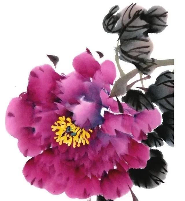  形态|紫、红牡丹花头写意画法与形态参考