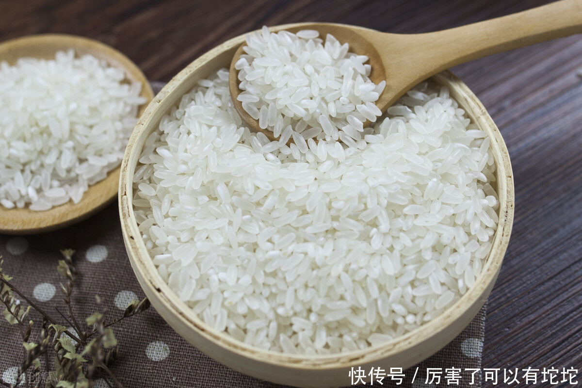 中老年人|高血脂“源头”已揪出,不是肥肉,吃得越多,容易堵塞血管