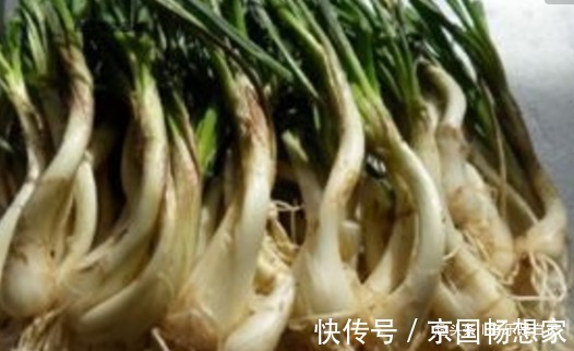 食物|女人想皮肤好,4种食物换着吃,去除皱纹,祛皱美容,谁吃谁受益