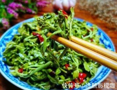 开胃|这种树叶子比嫩香椿还香，吃过的人不多，简单拌一拌，好吃又开胃