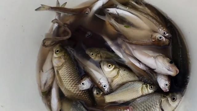 钓鱼人苦中作乐，站在二楼钓鱼，网友羡慕又心疼