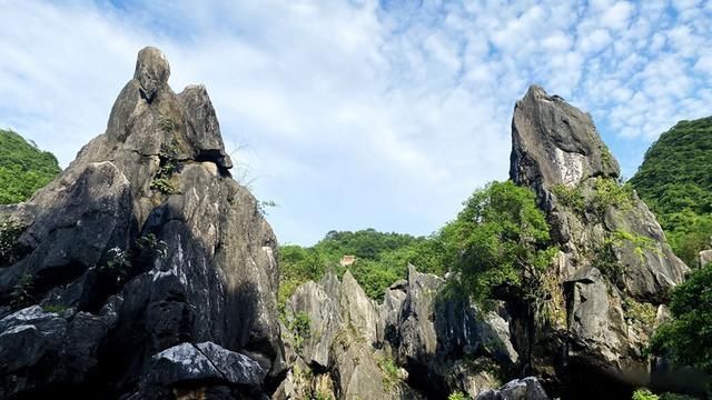 莫宣卿|到了贺州玉石林，就再也不想去云南的石林了