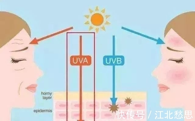 肤质 防晒霜怎么用才正确？内含防晒原理和防晒产品推荐！