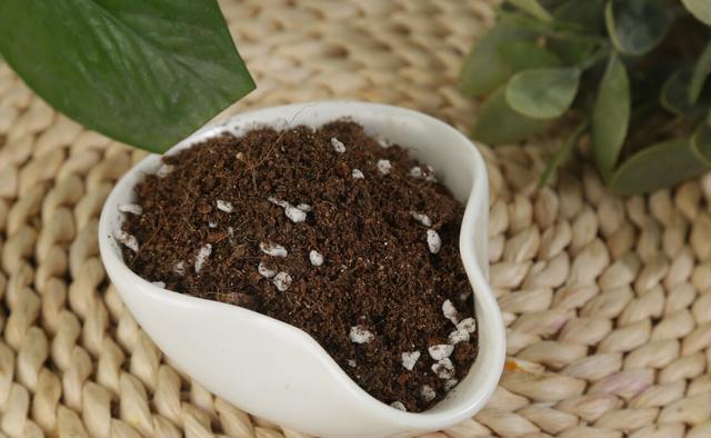 皮壳|养花的旧土要变成养分丰富的新土,要分成2步来走,掺进去3样东西