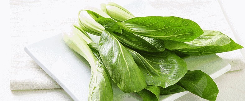 孩子|炒青菜也有窍门!4个点要记牢,出锅不发黄、有卖相,孩子愿意吃