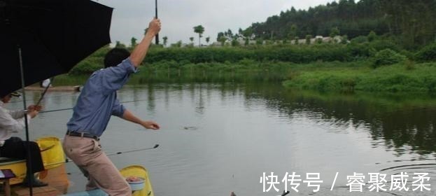鱼类|无鱼吃钩咋办?大部分钓友补窝!老钓友通过5点改善