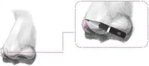 鼻孔@零基础素描教程:分步骤讲解34侧面鼻子画法,简单易学,快临摹