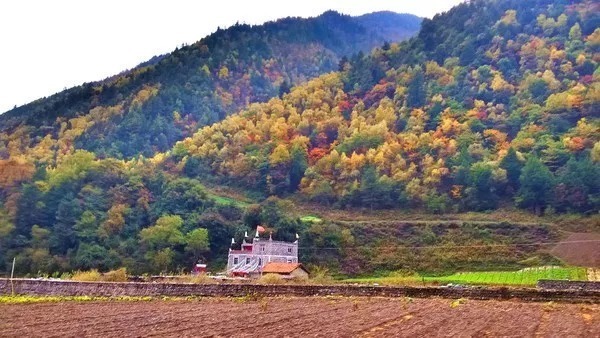 九寨沟|11月，国内这9个绝美山水之地，美成了一幅画！随手一拍都是壁纸