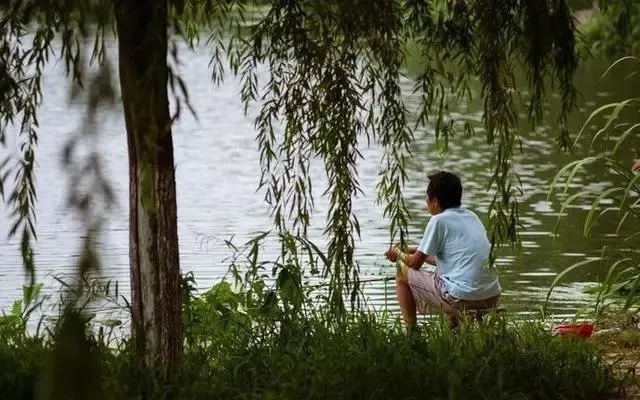 秋钓这4个黄金钓位,千万别放过,鱼都在此扎窝,让你轻松爆护