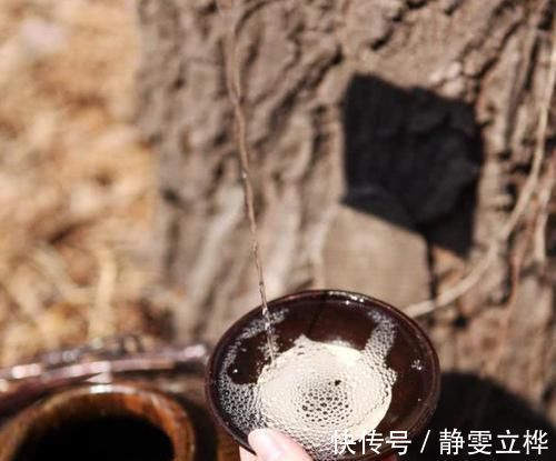 酒精|长期小酌一杯酒的人和滴酒不沾的人,哪种更健康?养生专家有话说