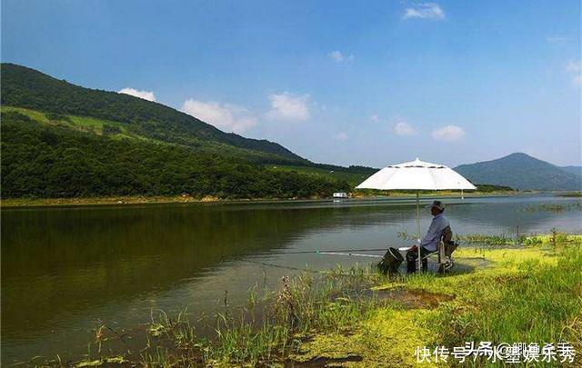 别再抢老钓位了,“秋老虎”鱼儿都藏在这,选这垂钓事半功倍