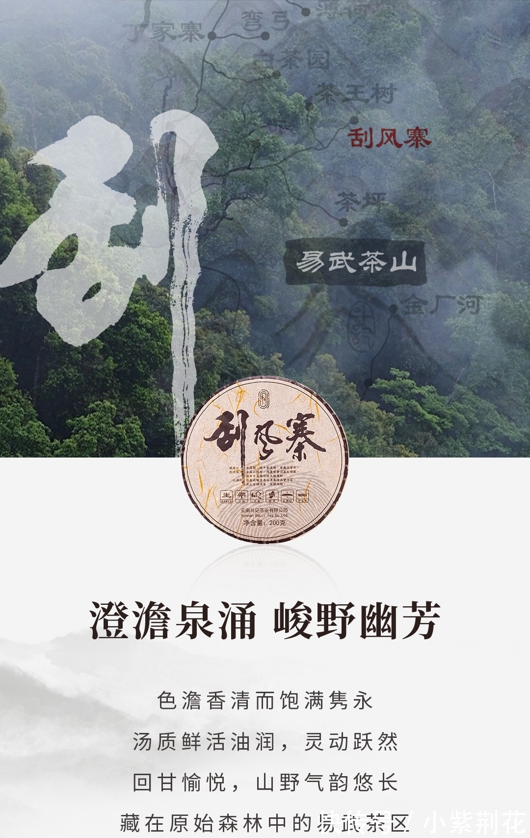 刮风寨|斗记名山名寨发烧级刮风寨、保塘旧寨、老班章、曼新竜口感特点