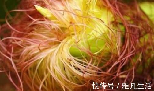 前列腺疾病|前列腺炎终于遇到“对手”了, 男人常吃一点, 远离炎症更健康