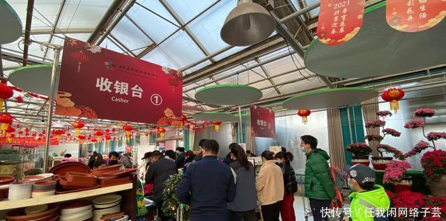 北京开了第一家绿植花卉大超市，就在南三环边上明码标价新鲜实惠
