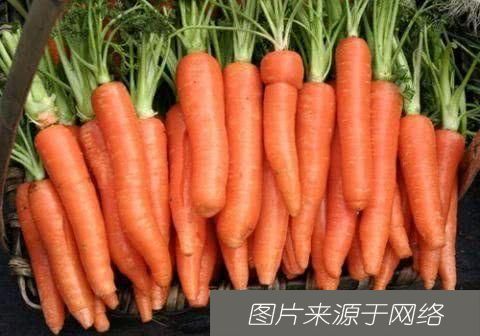 此物|胡萝卜和此物一起炖,失眠好了,护肝明目,血管也不堵了