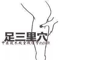 养生必谈足三里
