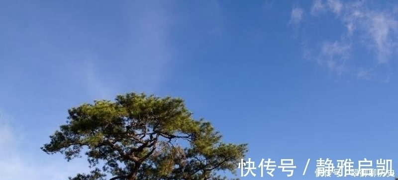 唐诗@一首充满哲理的唐诗,通篇短短的28个字,读来却是令人赞叹!