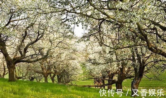 照片&德艺术家把不着片缕的美女隐藏在照片中,人体彩绘伪装下佳人何在