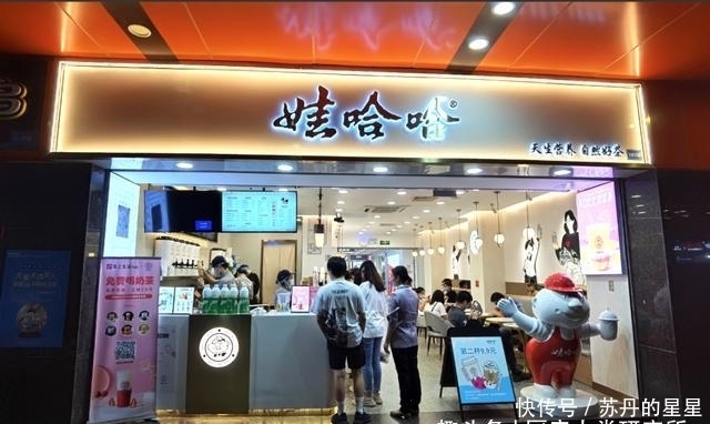 奶茶|我们笑着去了娃哈哈奶茶店，最后哭着回来了…