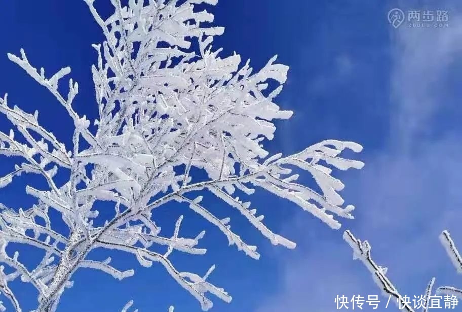 中年|难得一见的春日雪景，美到心醉！