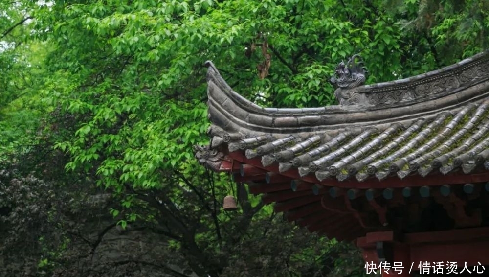 清欢|20句诗词,20种向往的生活:心中有诗意,处处皆清欢