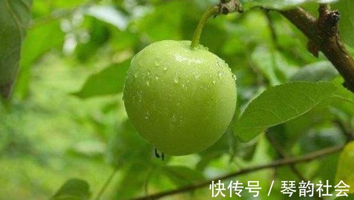 排毒養顏|女性羨慕別人皮膚好，平時多吃3物，排毒清脂，細膩皮膚