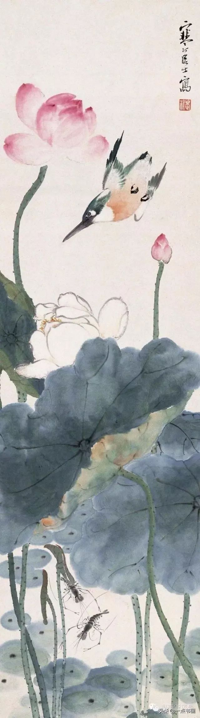 花鸟画@江寒汀 笔下的飞鸟30幅,不愧当代海派花鸟画第一人