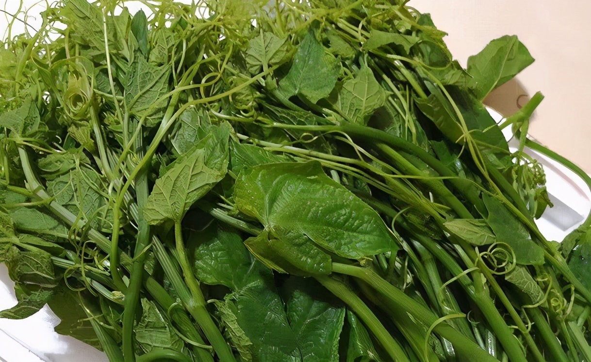 山药豆|想长寿全靠吃,3种食物离不开,排毒养颜,提高免疫力!