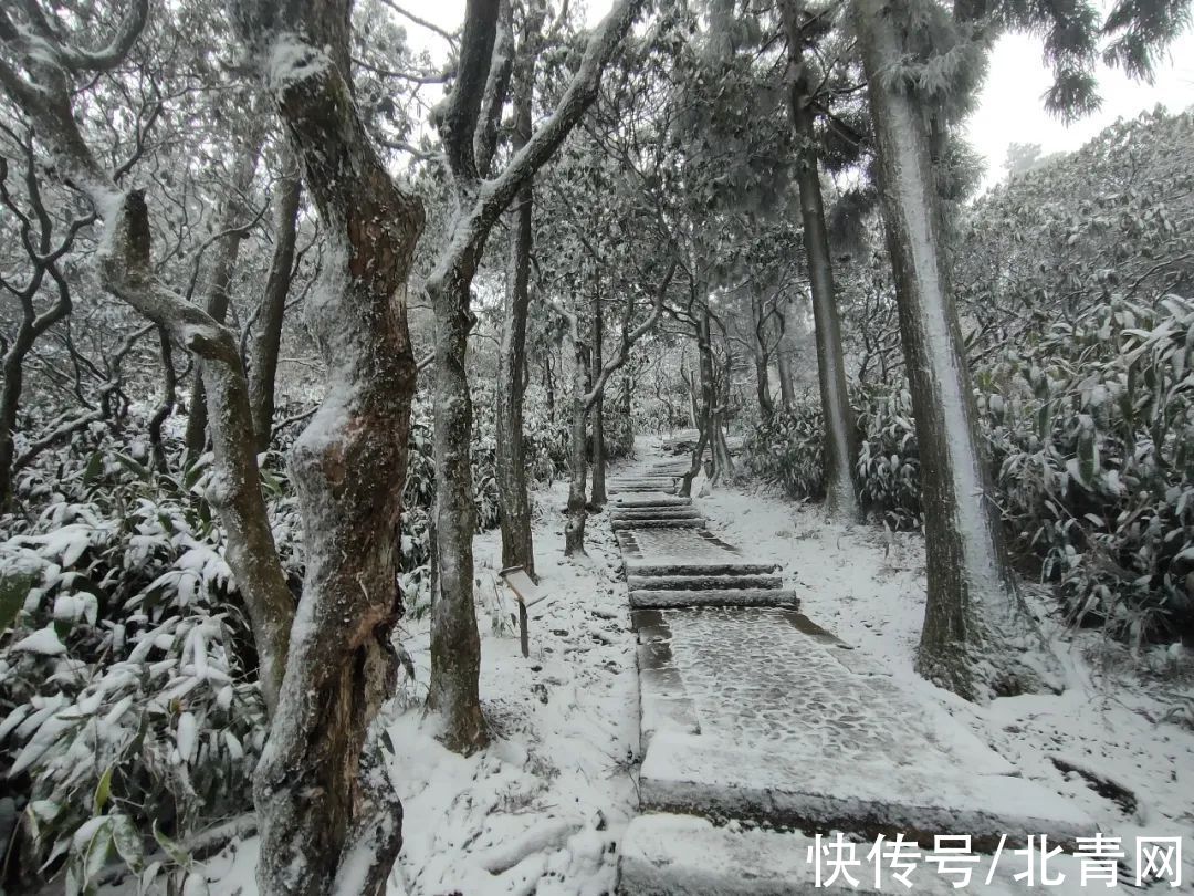 云海|太美了！台州最新雪景！括苍山跌至-10℃，再现云海奇观